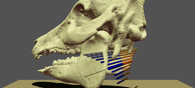 Teaser image for Exploratory Visualization of Animal Kinematics Using Instantaneous Helical Axes
