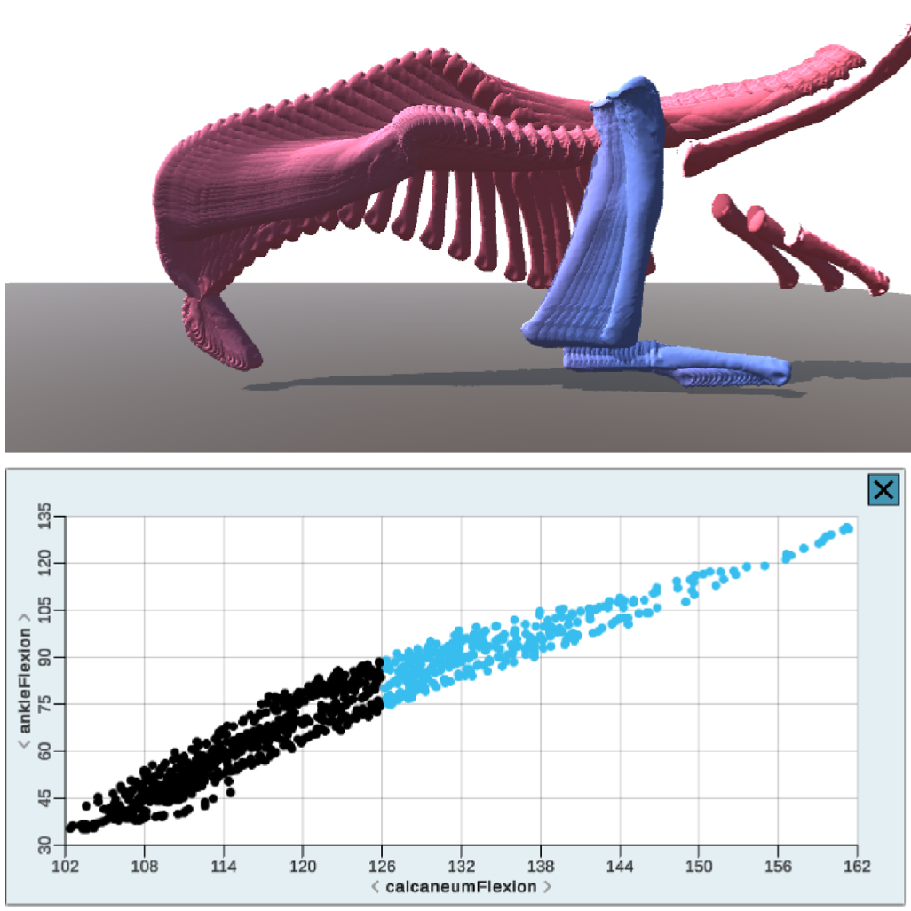 Teaser image for Poster: Linked Spatial and Temporal Normalization for Analysis of Cyclical 4D Skeletal Motion Data